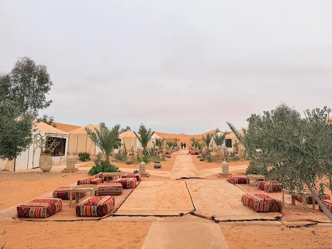 Sahara Desert Camp Guide